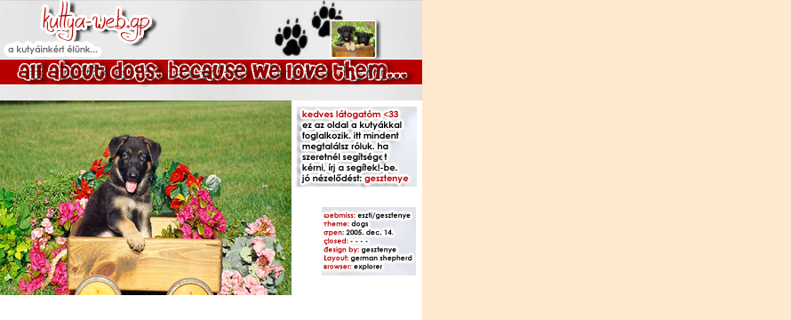 KUTTYA-WEB ||  all about our dogs ^^ // I. E.-BEN NÉZD AZ OLDALT